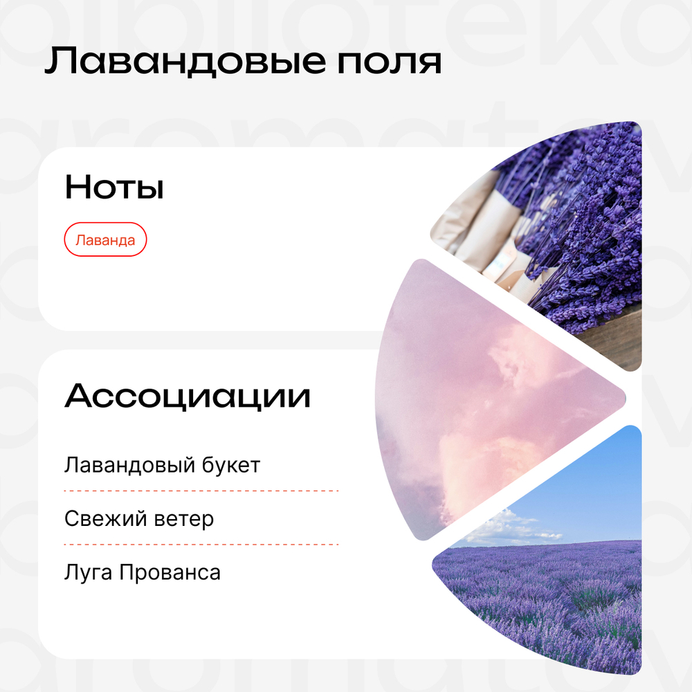 Лавандовые поля