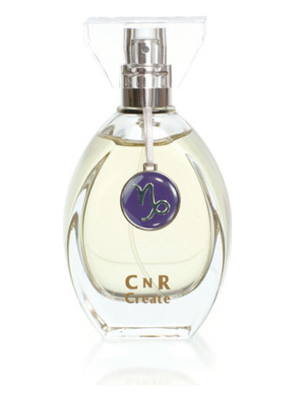 CnR Create Capricorn