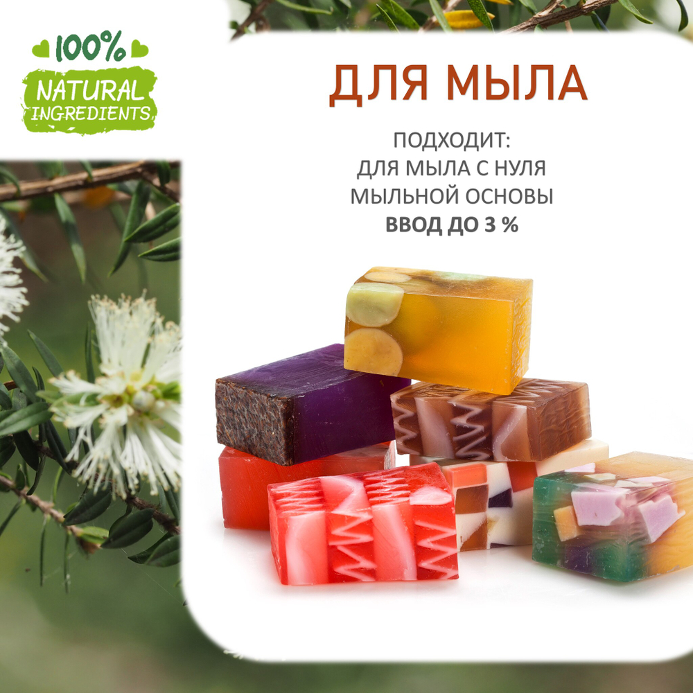 Чайное дерево, отдушка для свечей и мыла