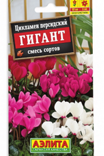 Цикламен персидский Гигант смесь 3 шт СМЦ-365