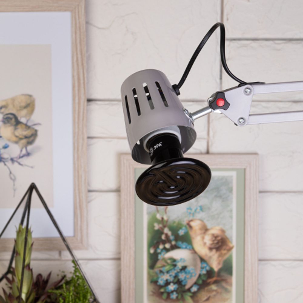 Инфракрасная лампа ЭРА ЭРА FITO-50W-НQ керамическая серии CeramiHeat модель RX для брудера, рептилий 50 Вт Е27 | Инфракрасные лампы