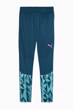 Штаны Puma individualFINAL Training