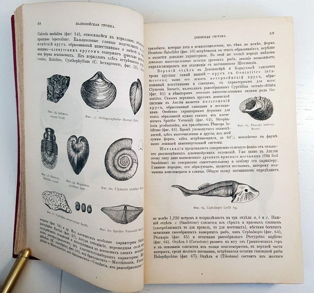 "Геология. Общий курс. В двух томах. Том 2". А.А. Иностранцев. 1887г. - антикварная книга