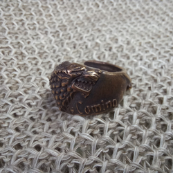 Кольцо. Winter is coming" - Зима близко