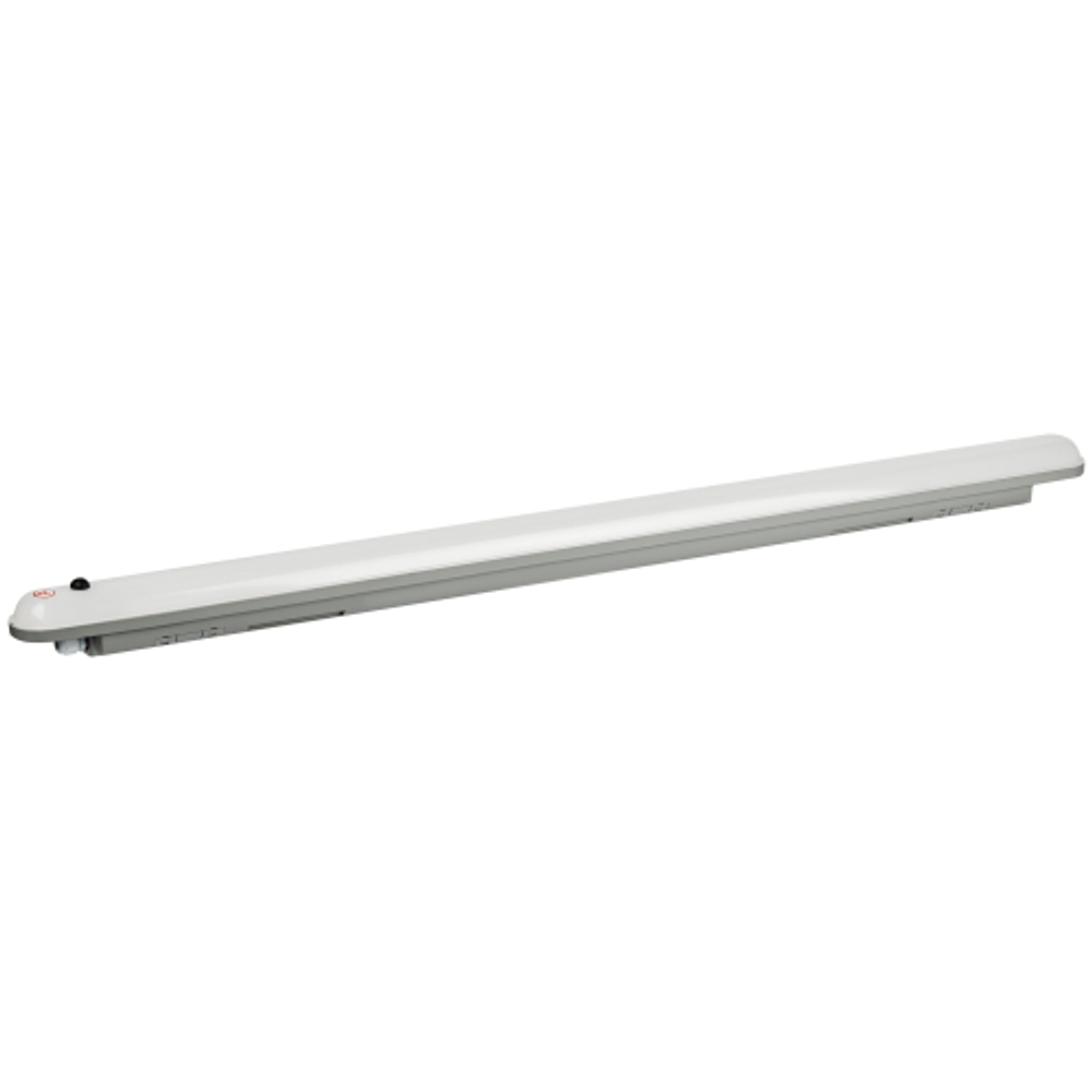 Аварийный линейный светодиодный светильник ЭРА SPP-201-0-65K-E36 36Вт 6500K IP65 1200 с бап 1 час матовый
