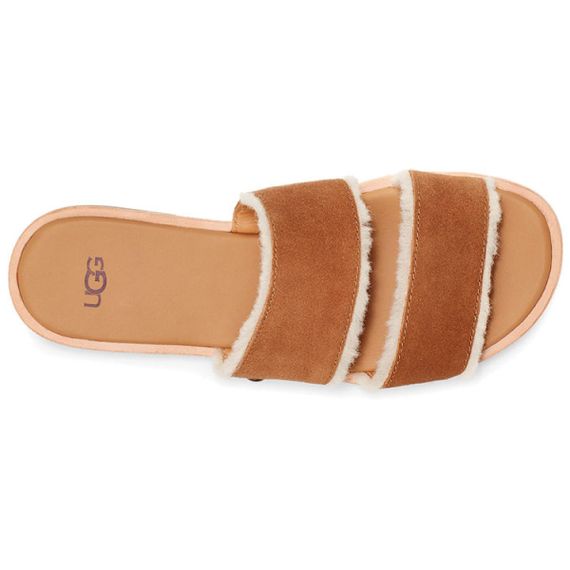 Ugg Thong Sandal 'Chestnut Brown'