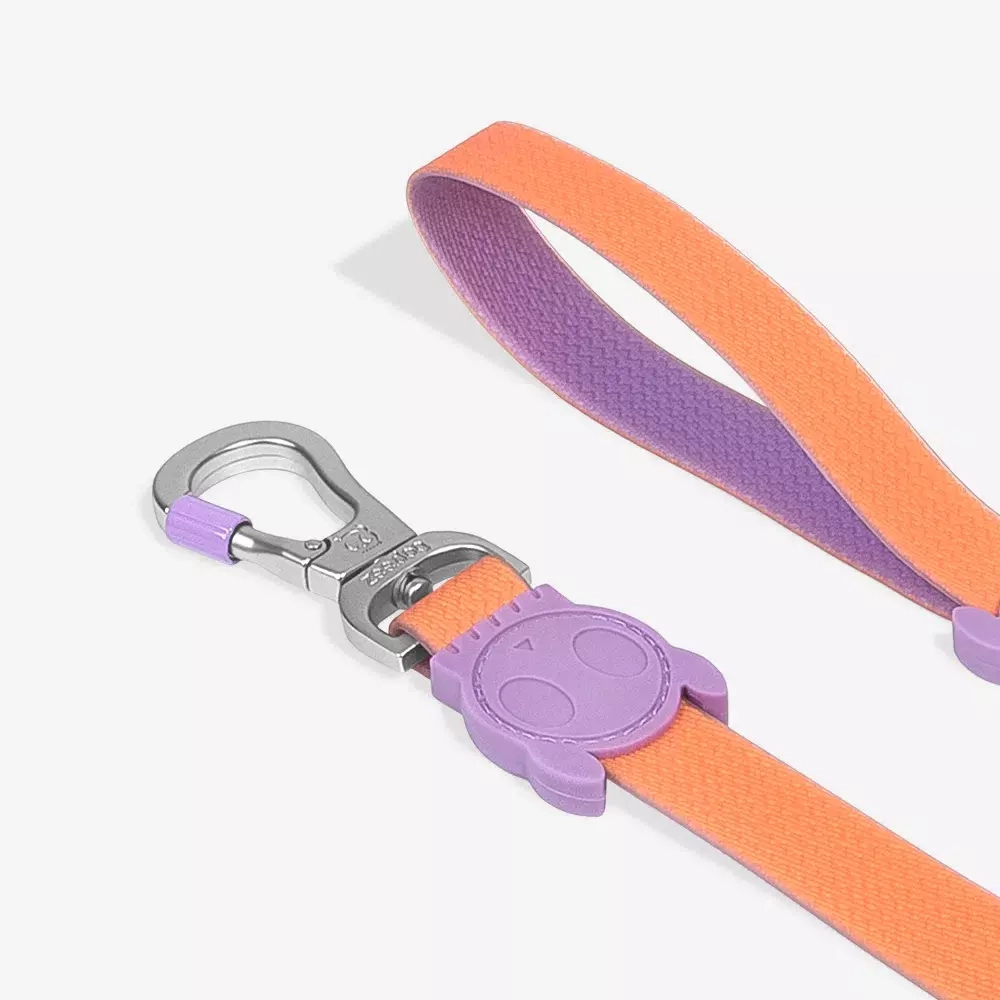 Поводок NEOPRO IRIS 120 см Zee.Dog