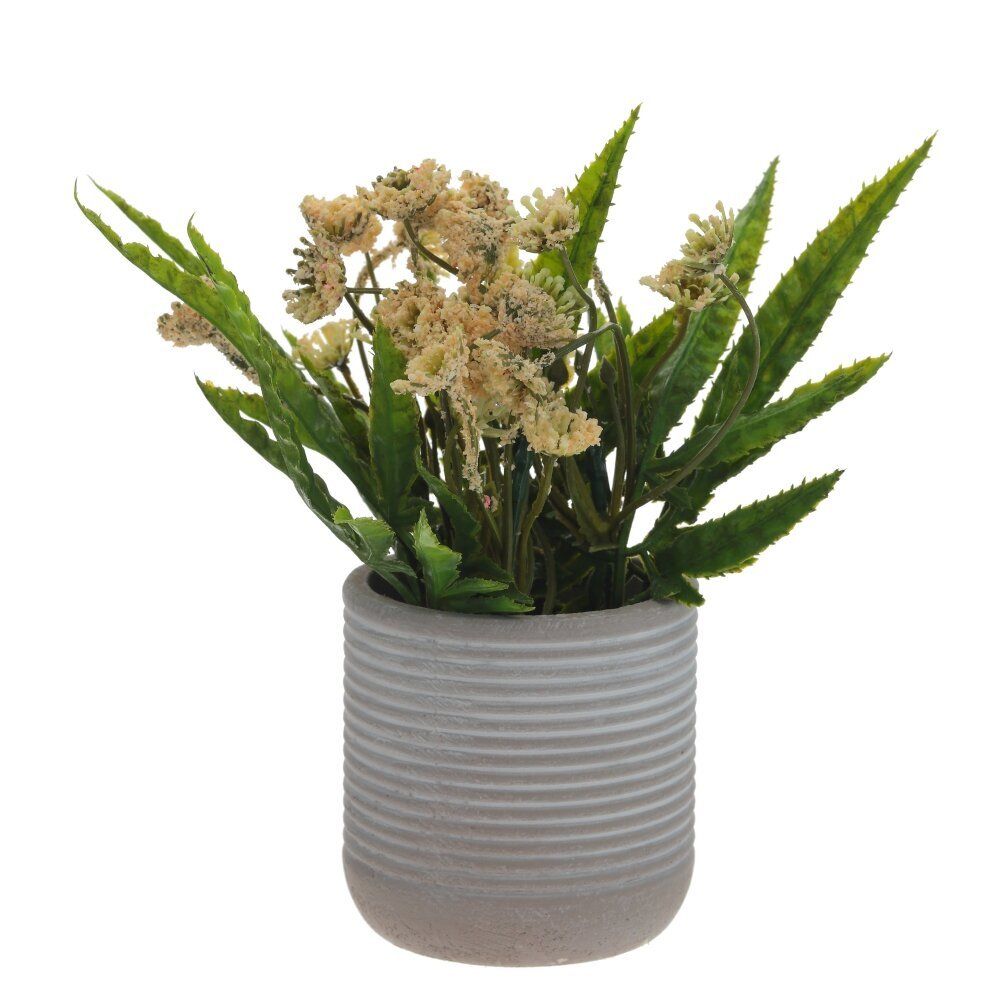 GAEM Цветочная композиция, L9 W9 H18 см, 5в.