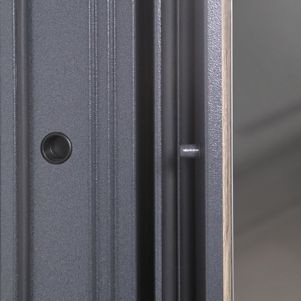 Стальная дверь  "Беркут" с зеркалом