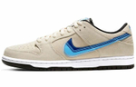 Кроссовки Nike Dunk Sb Pro Truck It Pack