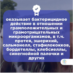 МОСАГРОГЕН Эндометрамаг-К, раствор для внутриматочного введения, для КРС, 1 л. Гентамицин.