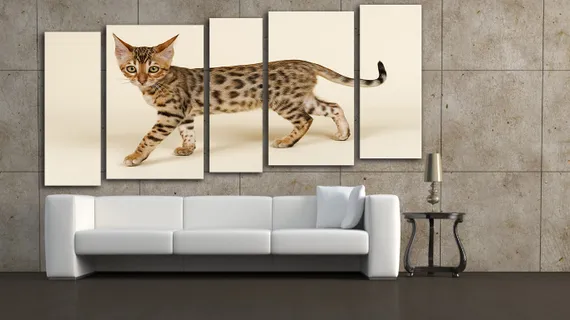 Модульная картина "Бенгальская кошка"