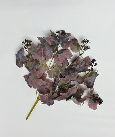 Куст смородина