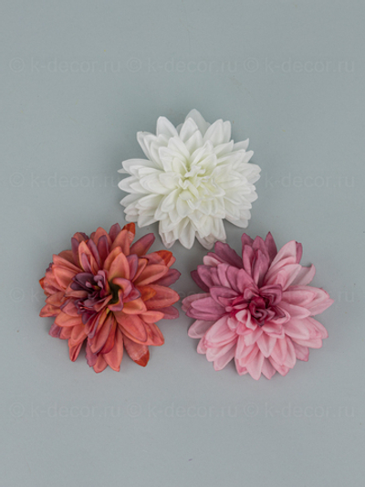 Голова георгина Ребекка