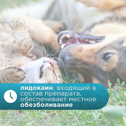 Ауритоп Livisto , капли ушные для собак и кошек, 30 мл. Амоксициллин , лидокаин , флуоцинолон