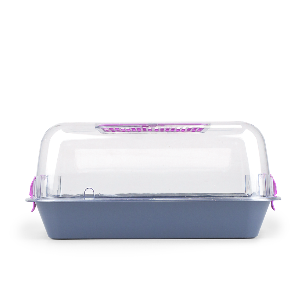 Террариум ZOOSET прозрачный серый/сиреневый - M (40х27х18 см)