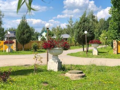 В «Романовском Парке» выполнено озеленение вазонов