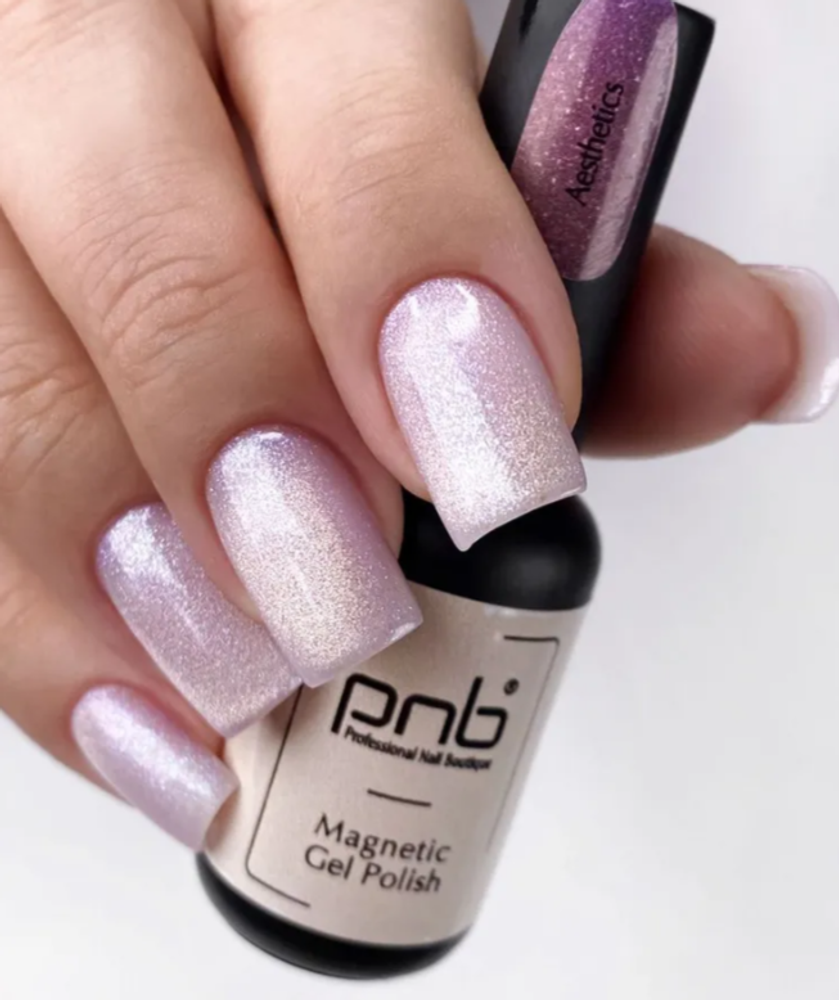 Гель-лак PNB Organza Gradients 8мл Эстетика/Gel Polish Aesthetics (эффект втирки)