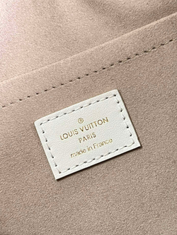 Louis Vuitton Speedy 20