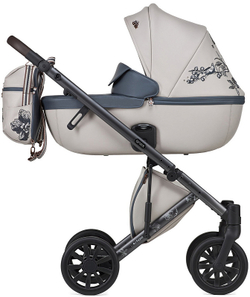 Детская коляска Anex e/type 3 в 1 eden