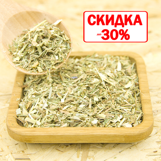 Галега (трава)