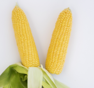 Кукуруза сахарная Саммер Свит F1 5000 (семян)