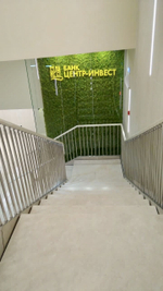 Вертикальное озеленение искусственным мхом центрального офиса "Центр-Инвест Банка" г.Ростов