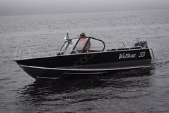 Алюминиевая лодка Wellboat 53 Fish