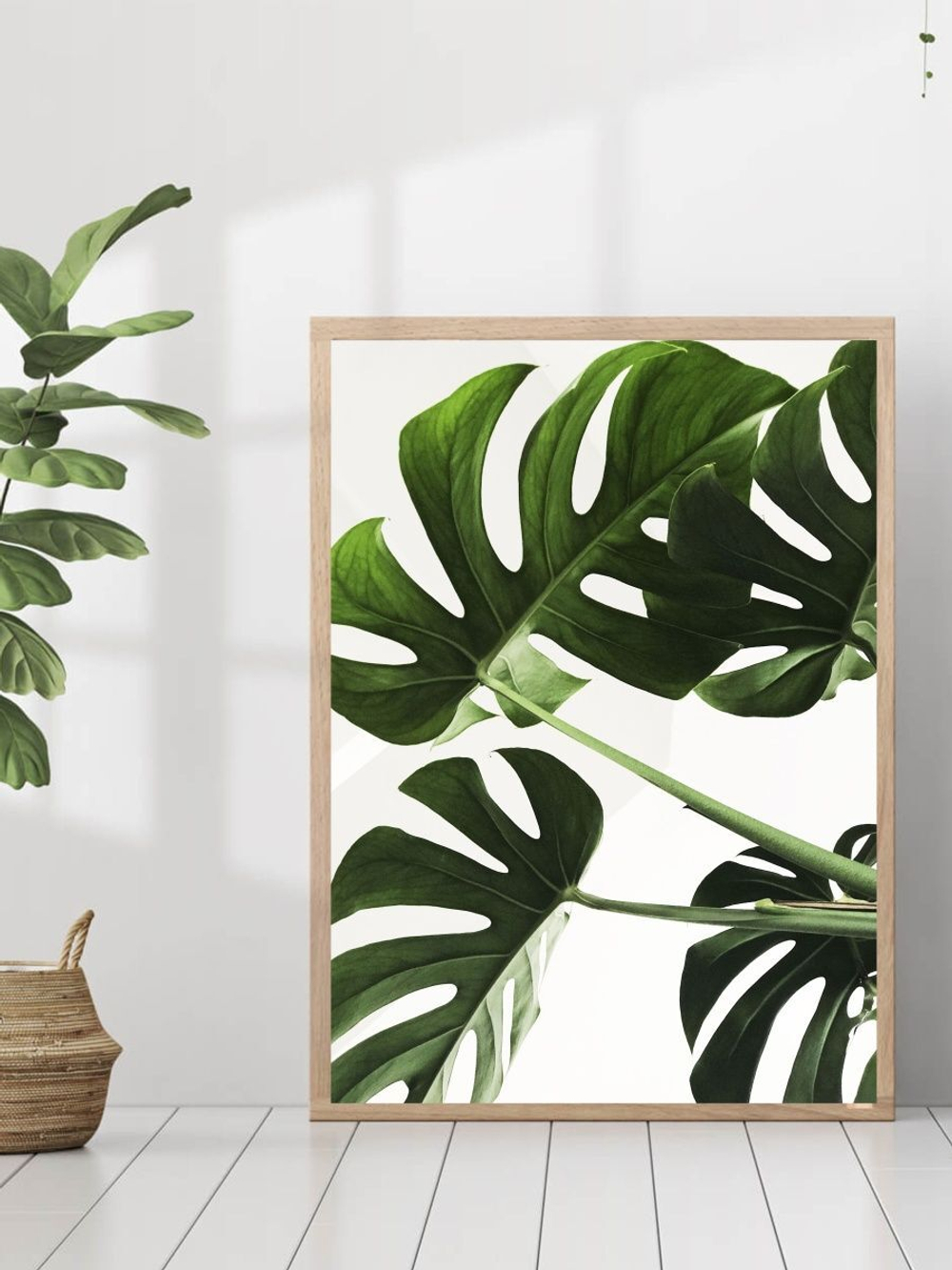 Набор постеров 30х40 растения 3 шт арт 156985535 ТТН 246259067