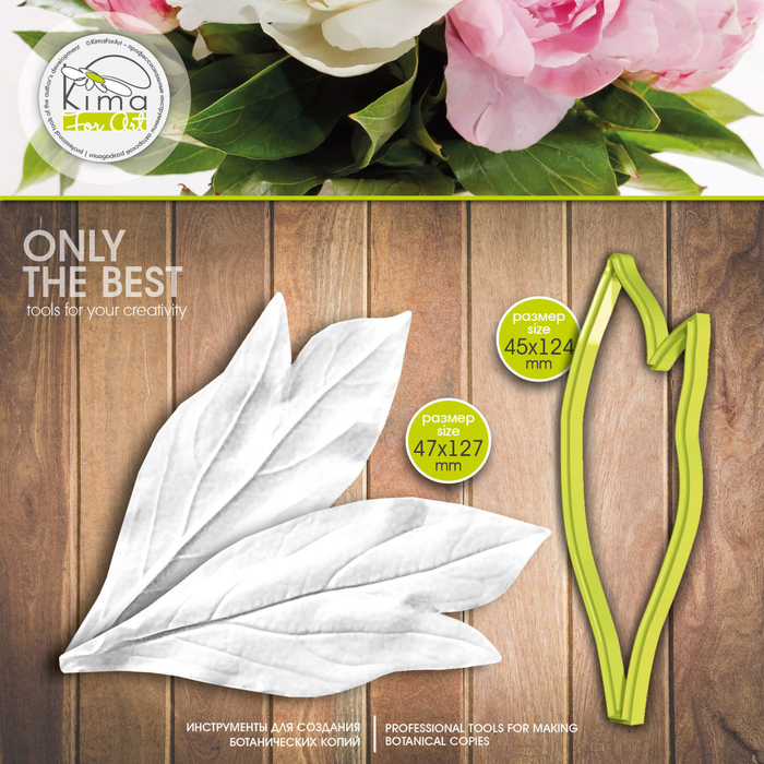 Пион лист широкий