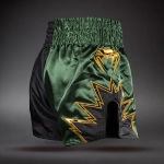 Шорты Venum Inferno 2.0 Muay Thai black/khaki
