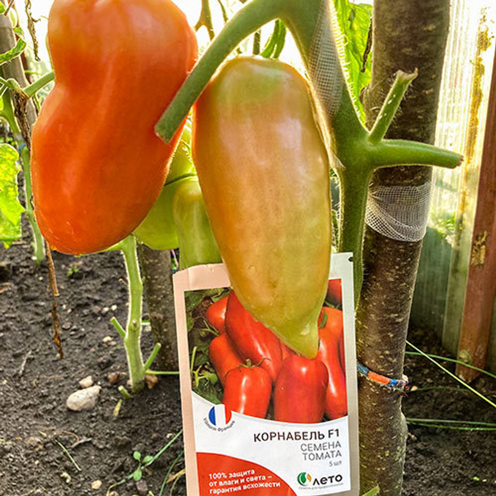 томат Корнабель F1