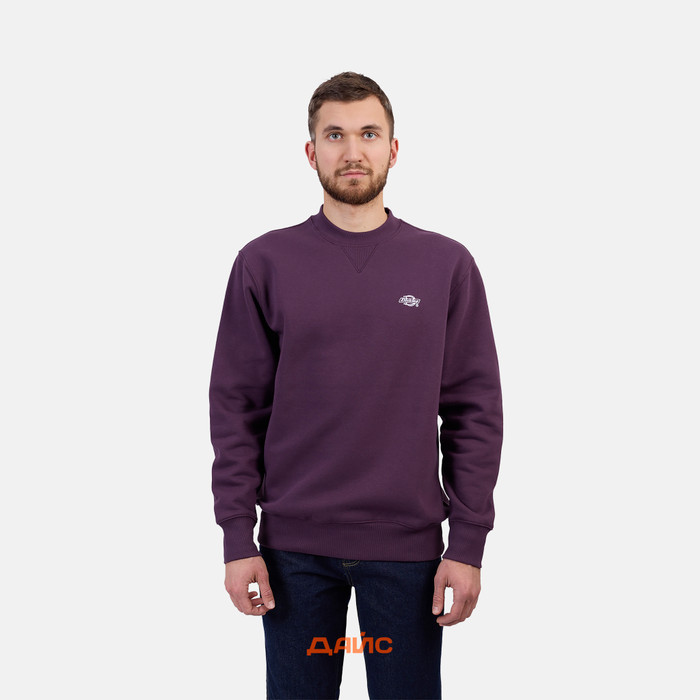 Толстовка мужская Dickies Summerdale Sweatshirt  артикул:DK0A4Y6QJ561 - купить в магазине Дайс
