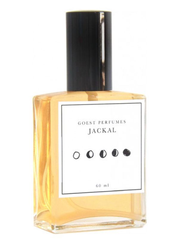 Goest Jackal