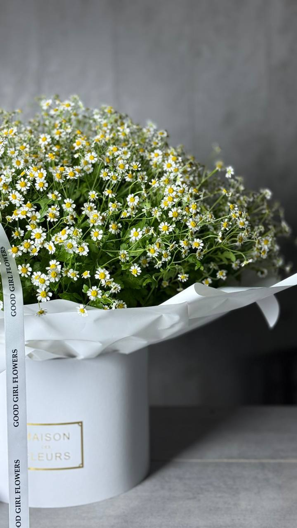 Ромашковое поле