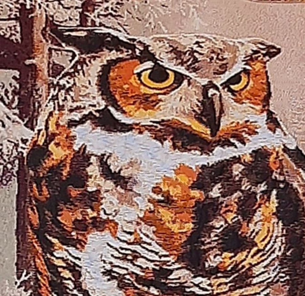 Декоративный гобеленовый чехол для интерьерной подушки Мудрец 47*47