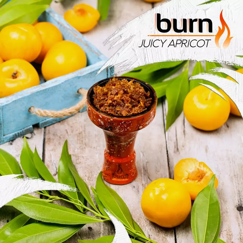 Burn - Juicy Apricot (100г)