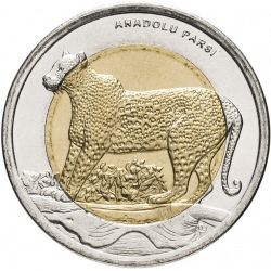 Анатолийский леопард