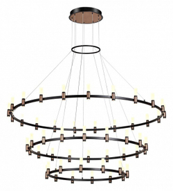Подвесная люстра Odeon Light 5009/204L