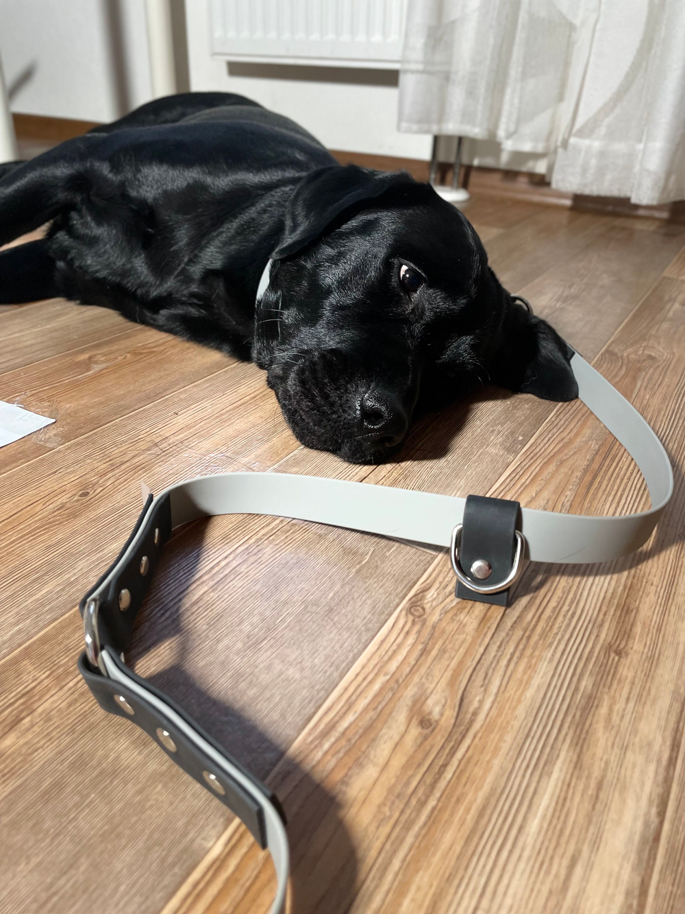 Перестёжка для собак средних пород, перестежка биотан 7 м , 25 мм. Черный- серый