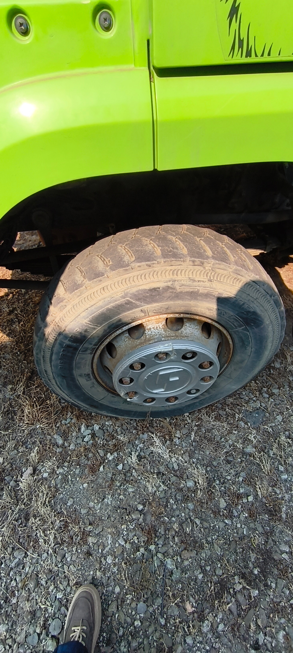 Shacman (Shaanxi) SX* 8x4 Самосвал SX33186W366C (Дизельный, 10,8 л, 441 л.с., МТ)