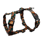 Шлейка Эчпочмак, наличие