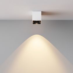 Накладной светильник Maytoni Alfa LED C064CL-5W3K-SQ-WB