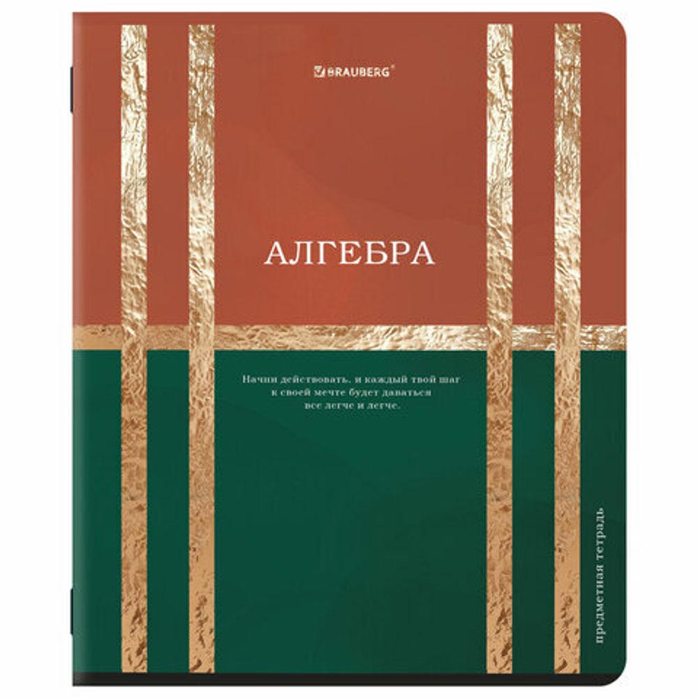 Тетради предметные, КОМПЛЕКТ 12 ПРЕДМЕТОВ, 48 л., матовая ламинация, фольга, BRAUBERG "GOLDY", 405178