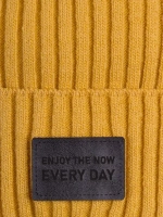 Шапка для мальчика со снудом демисезонная