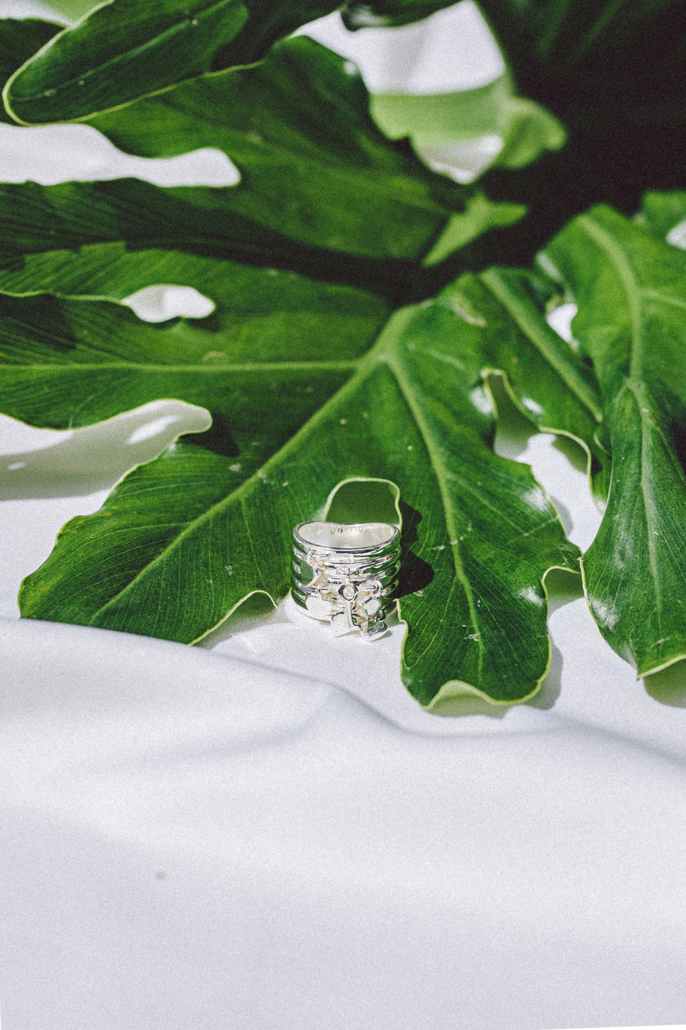 Кольцо «Карусель»