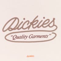  Футболка мужская Dickies Rope артикул:DK0A4Z8QF901 - купить в магазине Дайс