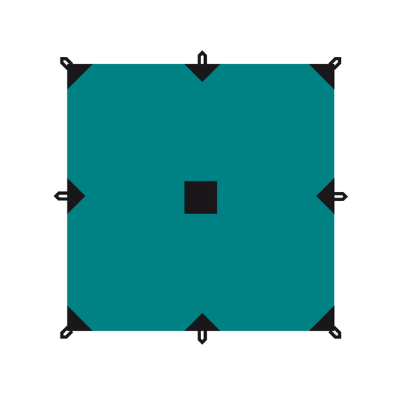 ТЕНТ BTRACE 3*5 м