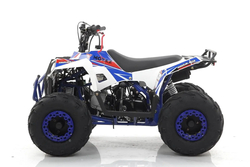 Квадроцикл MOTAX Grizlik A110