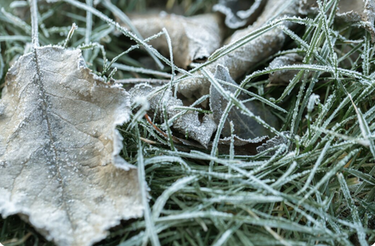 Герметизация швов после зимы: защита от прорастания травы
